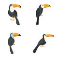 Toucan parrot bird icons set, flat style Royalty Free Stock Photo