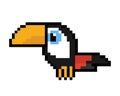Toucan. Pixel Toucan bird image. Vector Illustration of pixel art