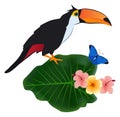 Toucan sit on tropical plant. Exotic bird in nature Royalty Free Stock Photo