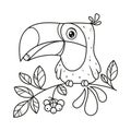 Toucan sits on branch and eats berry coloring page