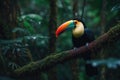 A toucan sits on a branch in a forest Generative AI