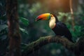 A toucan sits on a branch in the jungle Generative AI