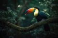 A toucan sits on a branch in the jungle Generative AI