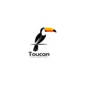 Toucan sits on a branch logo vector graphics