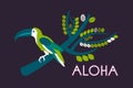 Toucan sitting on a branch with green leaves. The inscription `Aloha`.