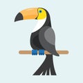 Toucan sitting on branch