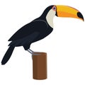 Toucan sitting on tree.