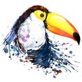 Toucan T-shirt graphics. toucan illustration with splash watercolor textured background.unusual illustration watercolor toucan fa