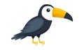 Toucan. A tropical bird. An exotic animal. Vector illustration in a flat cartoon style, isolated on a white background. Royalty Free Stock Photo