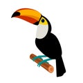 Toucan tropical bird. Flat style vector illustration.