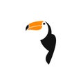 Toucan. Tropical bird from jungle Royalty Free Stock Photo