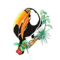 Toucan tropical bird watercolor illustration, palm tree leaves Royalty Free Stock Photo