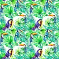 Toucan tropical birds and palm leaves watercolor seamless pattern on white background. Royalty Free Stock Photo