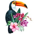 Toucan and tropical flowers orchid, turmeric, palm leaves on isolated white background, watercolor botanical painting Royalty Free Stock Photo