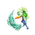 Toucan with tropical leaves watercolor illustration on white background Royalty Free Stock Photo