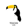 Toucan vector icon on white background. Flat design Royalty Free Stock Photo