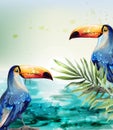 Toucan Vector watercolor. Tropic exotic summer card with parrots design