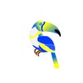 Toucan yellow blue