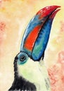 Toucanl closeup artwork portrait. Watercolor hand drawn on watercolour paper texture