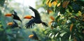 toucans flying in jungle