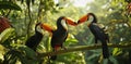 toucans flying in jungle