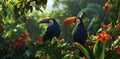 toucans flying in jungle
