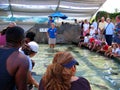 The Outdoor Shark Lagoon. Aquarium of the Pacific, Long Beach, California, USA