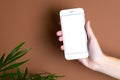 Touch screen mobile phone in hand on brown orange background with green plant. Minimal, stylish, trend concept. Copy space. Trend Royalty Free Stock Photo