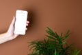 Touch screen mobile phone in hand on brown orange background with green plant. Minimal, stylish, trend concept. Copy space. Trend Royalty Free Stock Photo