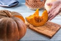 Touching freshly cut orange pumpkin slices by hand Royalty Free Stock Photo