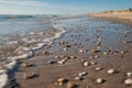 Touching sea shells with different colors under the wrinkles of Royalty Free Stock Photo