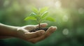 touching soil on the field before growth a seed of vegetable or plant seedling. Agriculture, gardening or ecology concept in Royalty Free Stock Photo