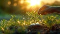 touching soil on the field before growth a seed of vegetable or plant seedling. Agriculture, gardening or ecology concept in Royalty Free Stock Photo