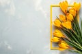 touching yellow crocuses in a yellow frame lie on a light background on the right, on the left there is a place for text, the Royalty Free Stock Photo