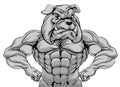 Tough Bulldog Mascot