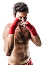 Tough fighter Royalty Free Stock Photo