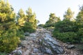 Tough High Mountain footpath in Penteli, a mountain to the north of Athens, Greece