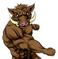 Tough muscular boar character Royalty Free Stock Photo