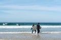 Young surfers walking into the ocean and surfing on the west coast of Brittany in France at Toulinguet Beach near Camaret-Sur-Mer