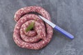 Toulouse sausage Raw `saucisse de toulouse` in ring french meat specialty from Toulouse on white Royalty Free Stock Photo