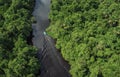 Tour boat on Rio Orinoco Delta, Venezuela lined by lush dense tropical rainforest, dark black waters aerial top down