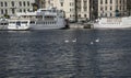 Tour boats in the harbor, Stockholm, Sweden. Royalty Free Stock Photo