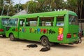 Tour bus and sleeping dogs, Rarotonga, Cook Islands Royalty Free Stock Photo