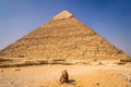 Tour camel in front of the pyramid of Khafre in Giza, Egypt Royalty Free Stock Photo