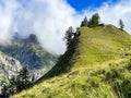 Tour de Mont Blanc hike with view along Dora di Ferret near Tete de Ferret