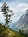 Tour de Mont Blanc between Rifugio Walter Bonatti and Chalet Val Ferret Royalty Free Stock Photo