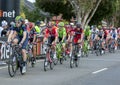 Tour Down Under cyclists at McLaren Flat in South Australia. Royalty Free Stock Photo