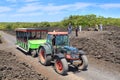 Exploring volcanic Rangitoto Island, New Zealand, by `road train`