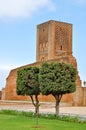 Tour Hassan tower in Rabat Royalty Free Stock Photo