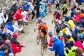 Tour of Italy: Cyclist racing on mountain dirt road Royalty Free Stock Photo
